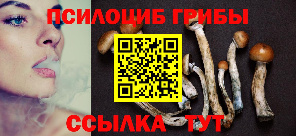 Псилоцибиновые грибы прущие грибы  Вход с VPN  Феодосия 